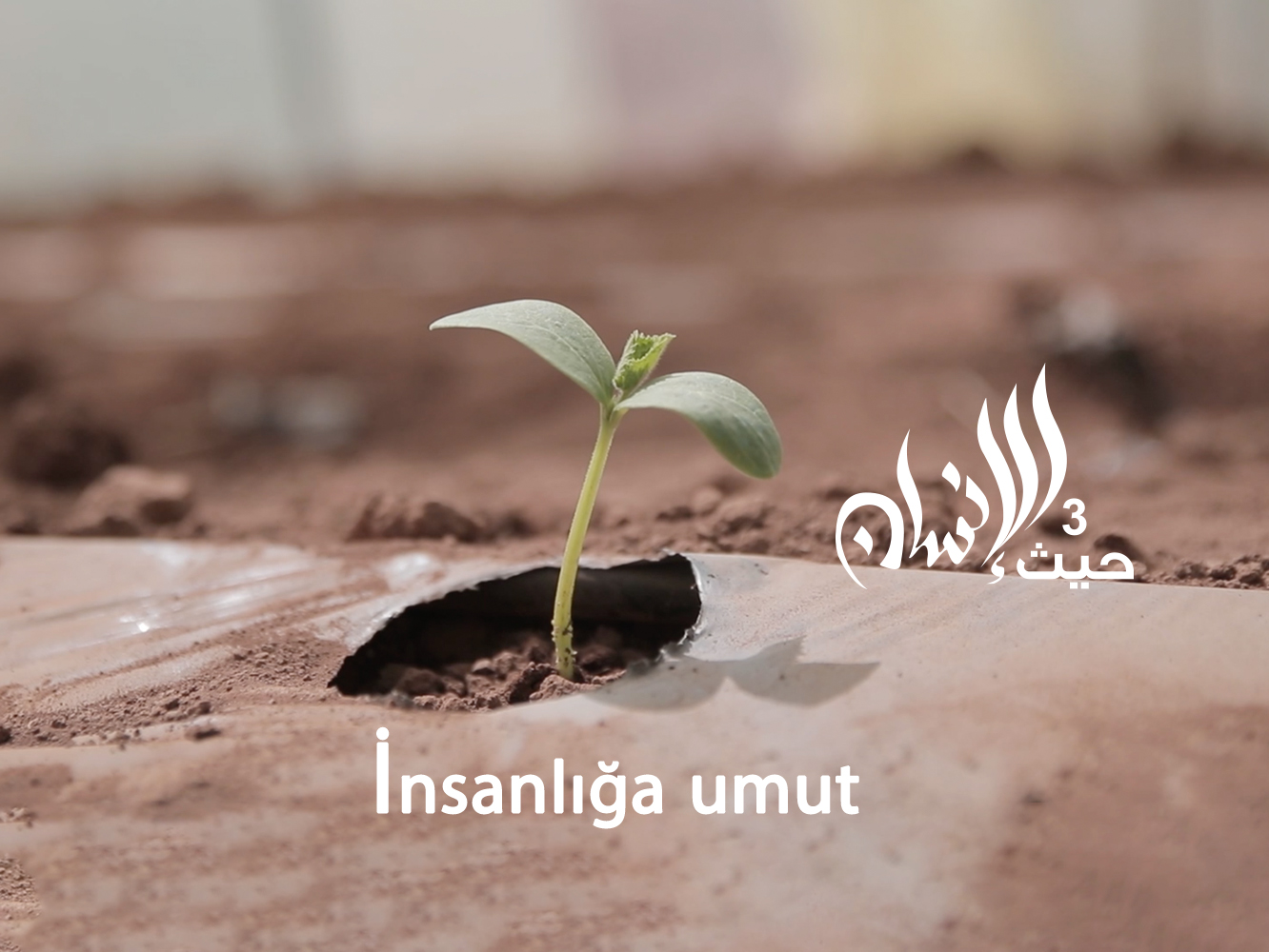 İnsanlığa umut 2020