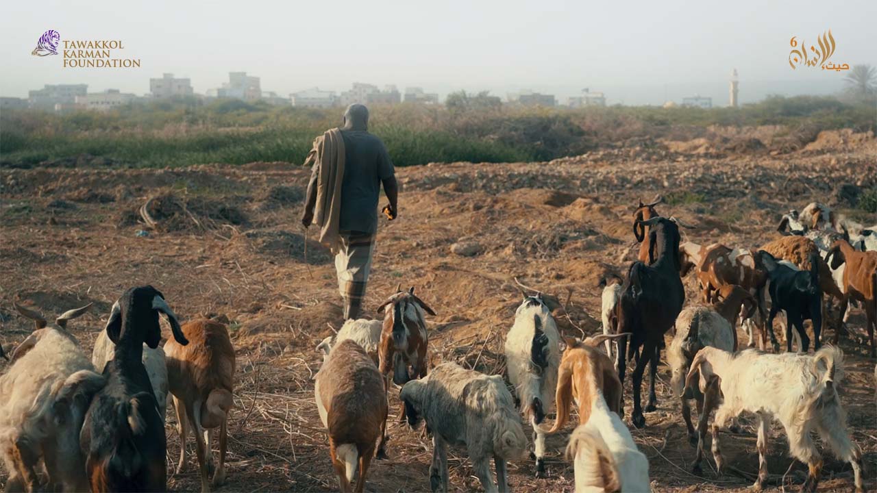 مؤسسة توكل كرمان تعيد لسكان مخيم ما باعوه قبل سنوات