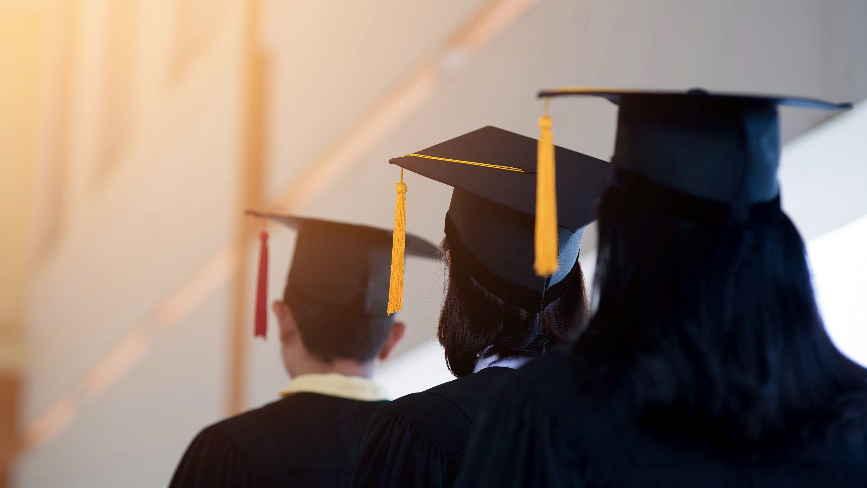 This image for Image Layouts addon